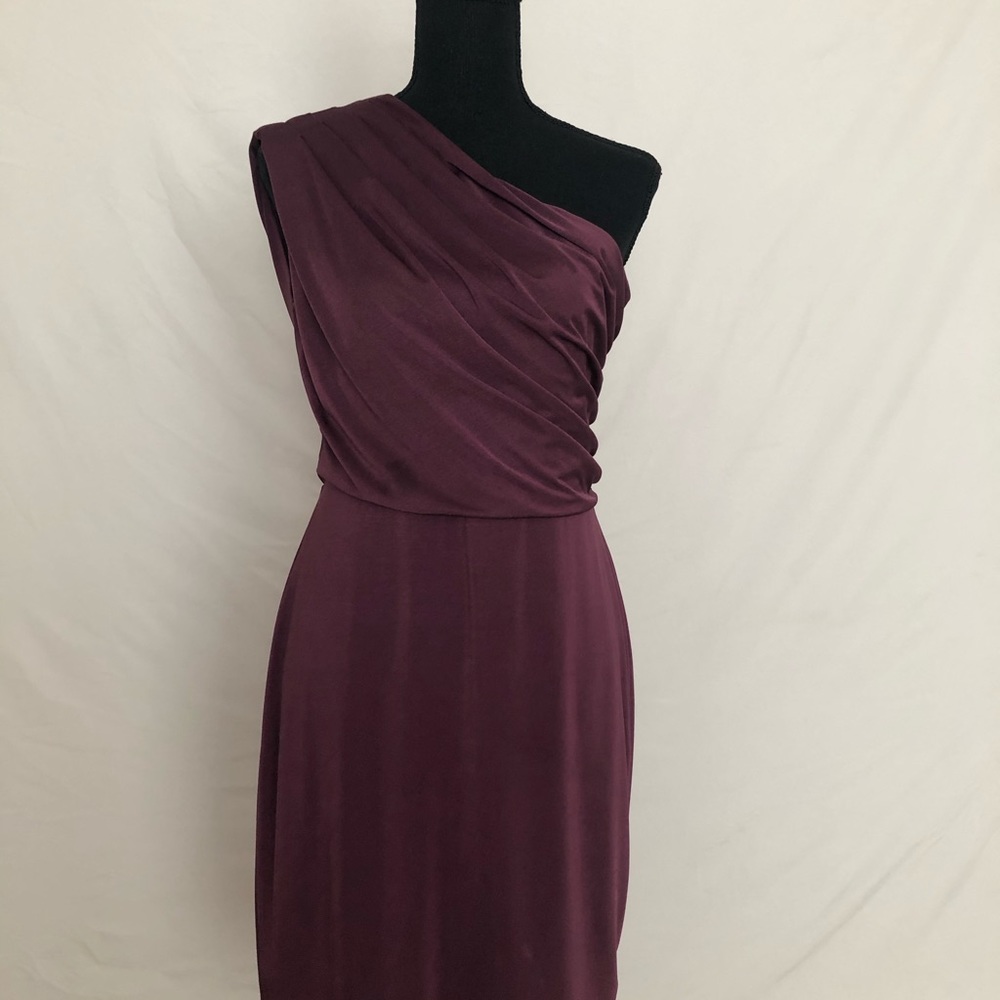Women’s Sz Small The Limited Brand Dress